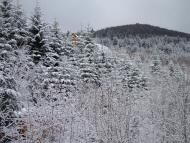 Берегомет з panoramio.com