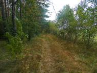 Деревини з panoramio.com