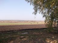 Новоборове - Останні фото