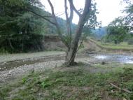 Стара Красношора з panoramio.com