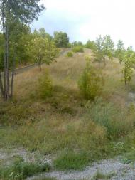 Дігтярівка з panoramio.com