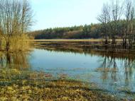 Булахівка з panoramio.com