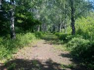 Благодатне з panoramio.com