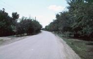 Чаплинка з panoramio.com