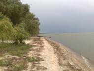 Сухолужжя з panoramio.com