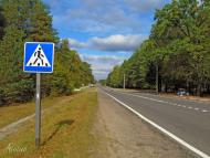 Смига з panoramio.com