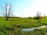 Шимшинівка з panoramio.com