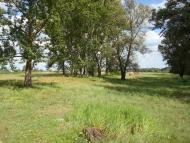 Лебедівка з panoramio.com