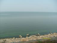 Кам'янське з panoramio.com