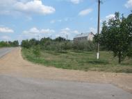 Селевинці з panoramio.com