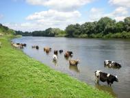 Свердловка з panoramio.com