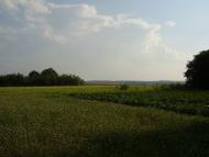 Жолоби з panoramio.com