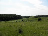 Остапенки з panoramio.com