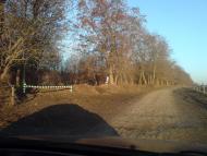 Нестерівці з panoramio.com