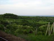 Підлісне з panoramio.com
