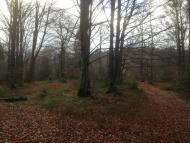 Верхнє Гусине з panoramio.com