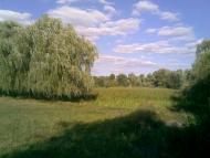 Веселий Кут з panoramio.com