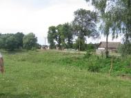 Товстоліс з panoramio.com