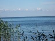 Васютинці з panoramio.com