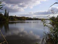 Федорівка з panoramio.com