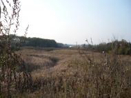 Зоряне з panoramio.com