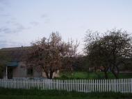 Віленька з panoramio.com