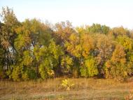 Талове з panoramio.com