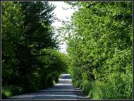 Бужанка - Останні фото