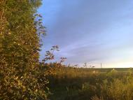 Лідихів з panoramio.com