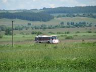 Грядки з panoramio.com