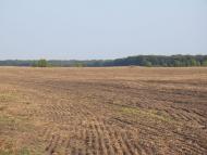 Селище з panoramio.com