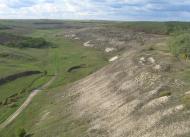 Дмитрівка з panoramio.com