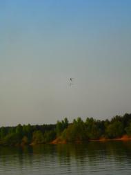 Топільне з panoramio.com