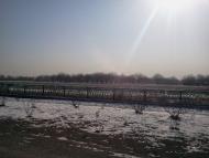 Тавричанка з panoramio.com