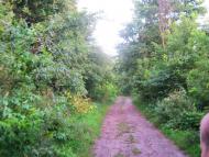 Деревини з panoramio.com