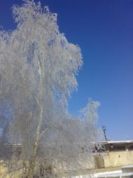 Петрівське з panoramio.com