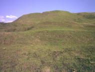 Вільховець з panoramio.com