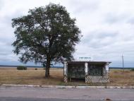 Липівка з panoramio.com