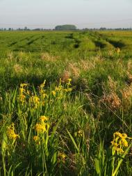 Стаївка з panoramio.com