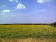 Чермалик - Останні фото