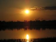 Медведеве з panoramio.com