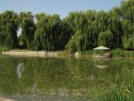 Серби з panoramio.com