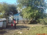 Новоборовиці - Останні фото