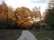 Туранівка з panoramio.com