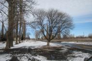 Войтове з panoramio.com