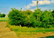 Бране Поле з panoramio.com