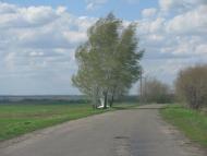 Миколаїв з panoramio.com