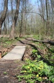 Манченки з panoramio.com