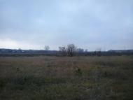 Червона Діброва з panoramio.com