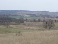 Веселий Кут - Останні фото